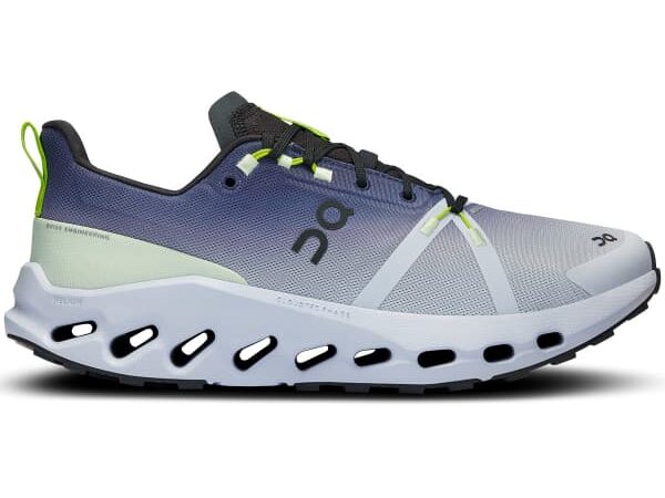 Chaussure de trail ON RUNNING Cloudsurfer Trail Wp - Gris / Bleu - taille 45 2024
