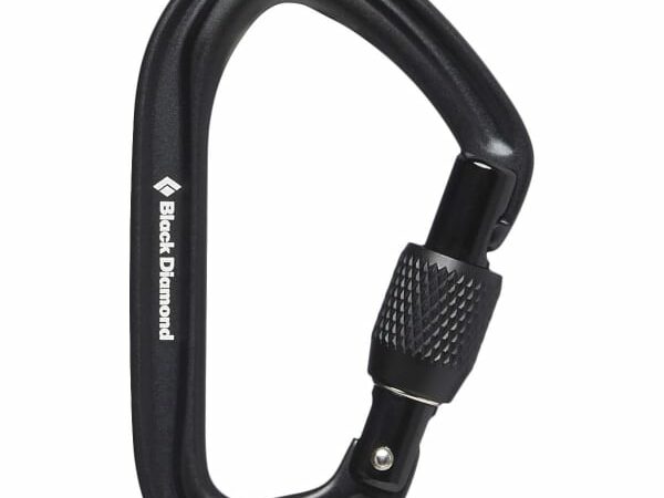 Mousqueton BLACK DIAMOND Hotforge Screwgate Carabiner Noir Unique 2025