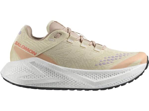 Chaussure de running femme SALOMON Aero Glide 3 Grvl - Beige - taille 36 2025