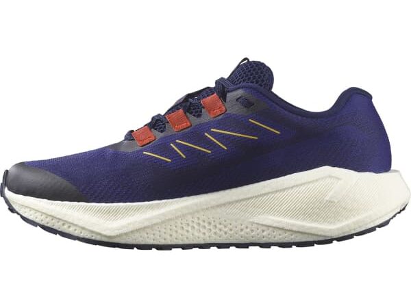 SALOMON Aero Blaze 3 Grvl - Bleu - taille 41 1/3