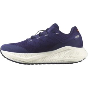 Chaussures de running Salomon Aero Glide 3 Grvl pour homme – Violet – taille 40 2025