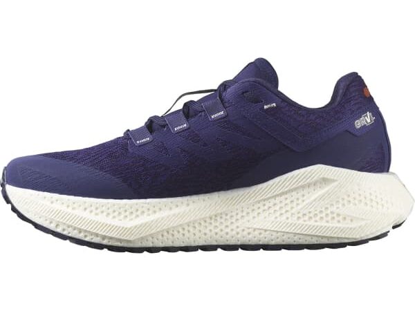 Chaussures de running Salomon Aero Glide 3 Grvl pour homme - Violet - taille 40 2025