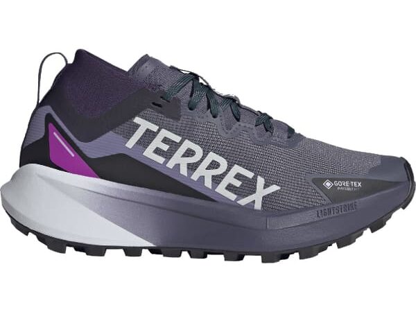ADIDAS Terrex Agravic Gtx W - Chaussure de trail running haut de gamme pour femme en taille 37 1/3