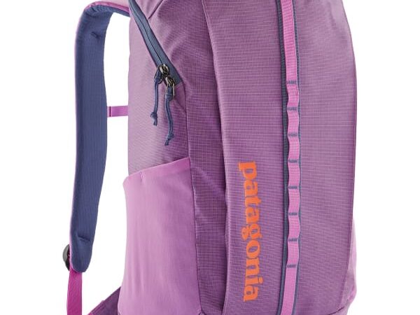 Sac à dos PATAGONIA Black Hole Pack 25l Violet Unique 2025