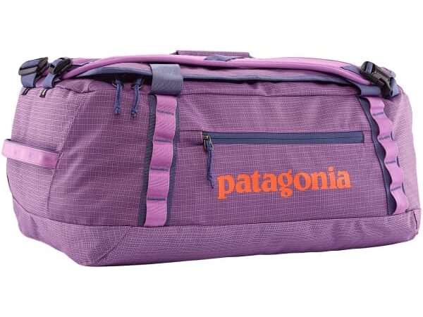 Sac de voyage PATAGONIA Black Hole Duffel 40l Violet Unique 2025