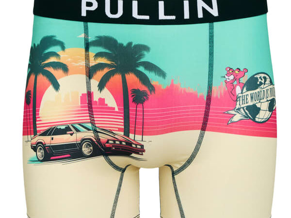 PULLIN Fashion 2 - Boxer homme imprimé Vert / Rose / Multicolore - taille S 2026