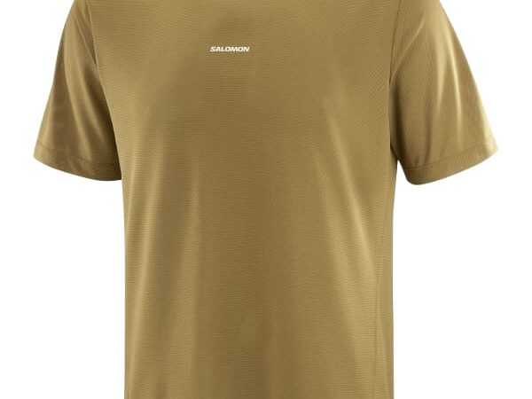 SALOMON Shkout Core Ss Tee - Marron / Vert - taille S 2025