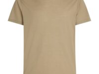 ICEBREAKER Merino 150 Tech Lite Ss Tee - Marron / Beige - taille S 2026