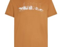 ICEBREAKER Merino 150 Tech Lite Ss Tee Massif - Marron / Orange - taille S 2026