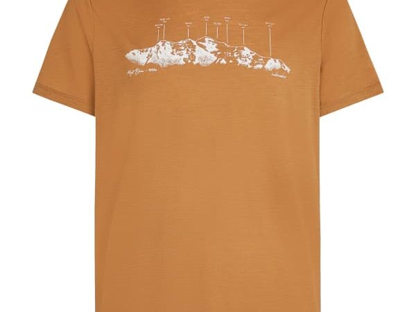ICEBREAKER Merino 150 Tech Lite Ss Tee Massif - Marron / Orange - taille S 2026