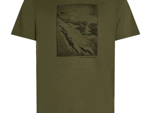 ICEBREAKER Merino 150 Tech Lite Ss Tee Summit - Vert - taille S 2026