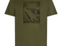 Icebreaker Merino 150 Tech Lite Ss Tee Summit - Vert - taille S 2026