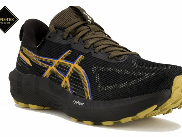 Asics GT-1000 14 Gore-Tex Chaussures homme