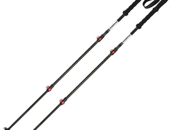 CORTO FUJI CARBON 3 BRINS SPEEDLOCK - 105/135