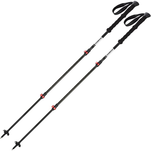 CORTO FUJI CARBON 3 BRINS SPEEDLOCK - 105/135