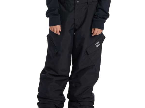 DC SHOES BANSHEE YOUTH SNOW PANT