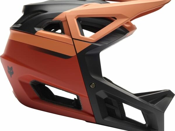 FOX PROFRAME RIZER CE