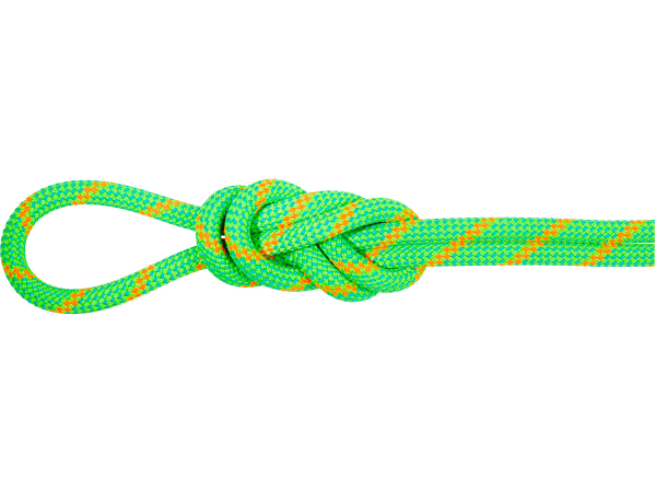 MAMMUT 8.0 ALPINE ECO DRY ROPE 50 M