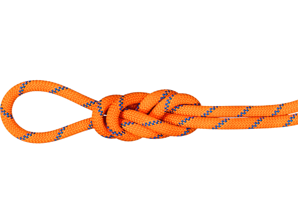 MAMMUT 9.0 ALPINE SENDER DRY ROPE 50 M