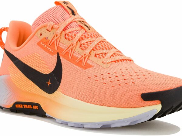 Nike Pegasus Trail 5 Chaussures homme