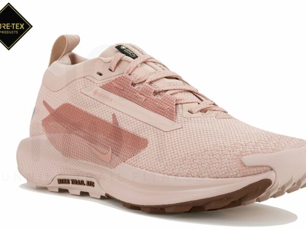 Nike Pegasus Trail 5 Gore-Tex Chaussures de sport femme déstockage