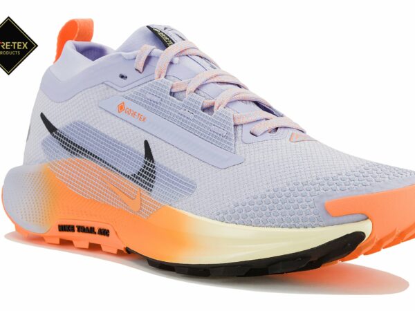 Nike Pegasus Trail 5 Gore-Tex Chaussures de sport femme