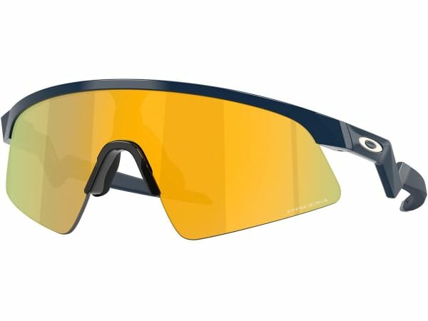 OAKLEY RESISTOR SWEEP POL