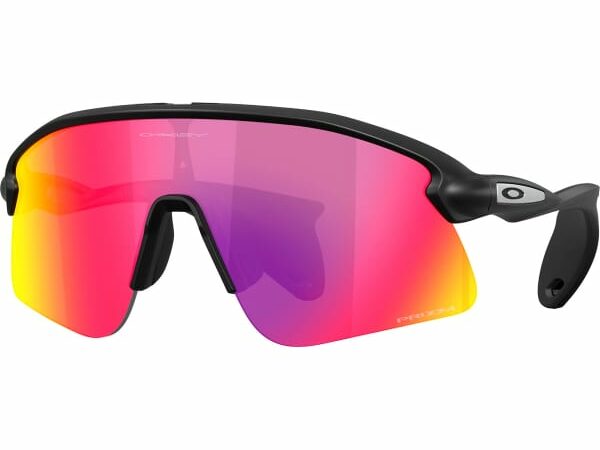OAKLEY STUNT DEVIL S