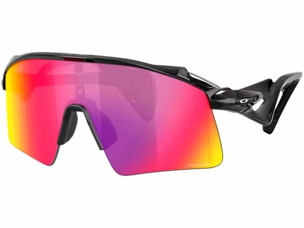 OAKLEY STUNT WING