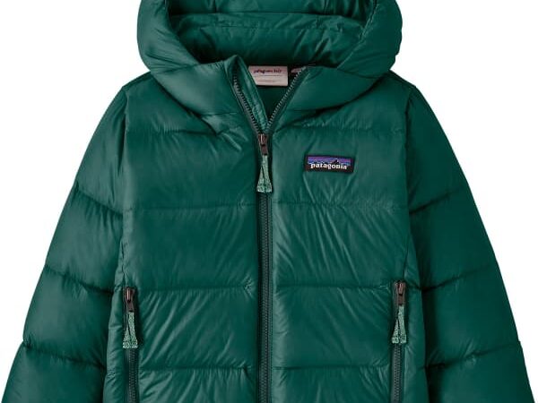 PATAGONIA BABY HI-LOFT DOWN SWEATER HOODY
