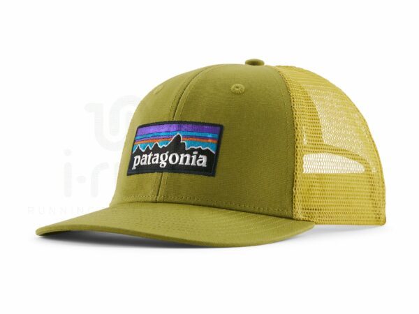 Patagonia P-6 Logo Trucker Casquettes / bandeaux