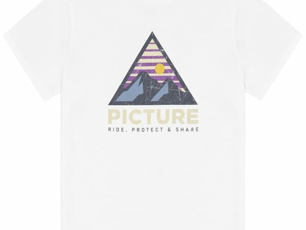 PICTURE AUTHENTIC TEE