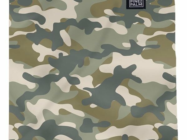 PINE TO PALM TOUR DE COU TECHNIQUE