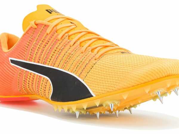 Puma evoSPEED Future 6 Chaussures homme