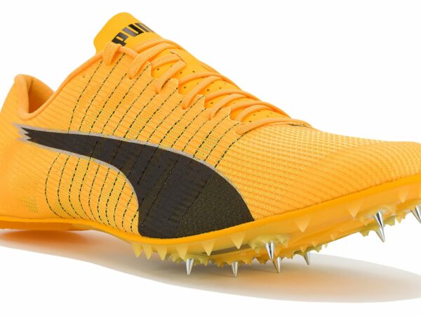 Puma evoSPEED Future 6 Chaussures homme