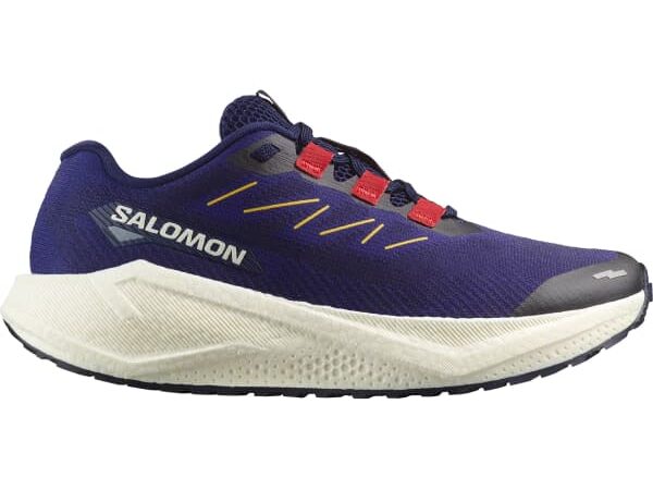 SALOMON AERO BLAZE 3 GRVL