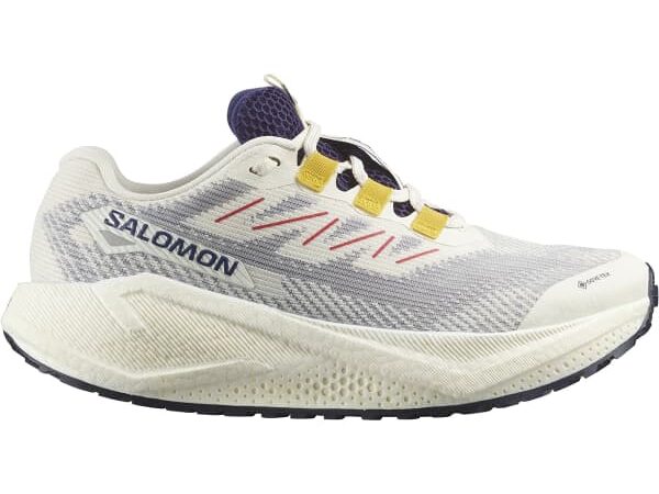 SALOMON AERO BLAZE 3 GRVL GORE-TEX W