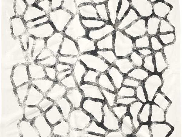 SALOMON BANDANA GRVL GFX