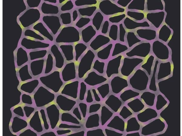 SALOMON BANDANA GRVL GFX