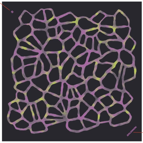 SALOMON BANDANA GRVL GFX