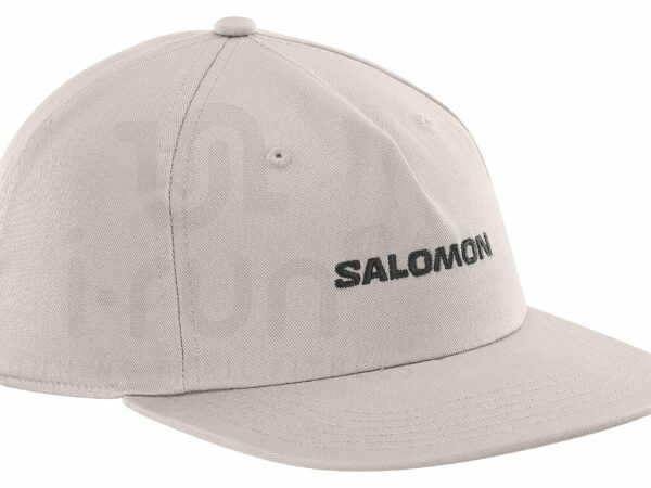 Salomon Logo Flat Casquettes / bandeaux
