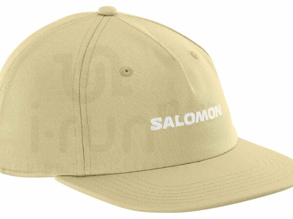 Salomon Logo Flat Casquettes / bandeaux