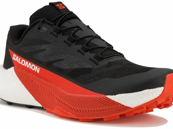 Salomon Pulsar Chaussures homme