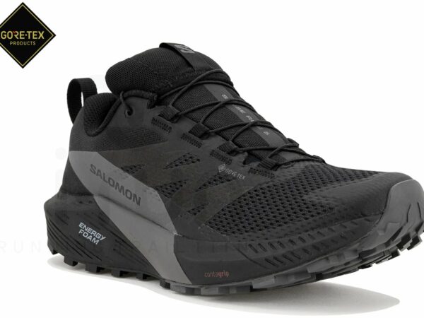 Salomon Sense Ride 5 Gore-Tex M Chaussures homme déstockage