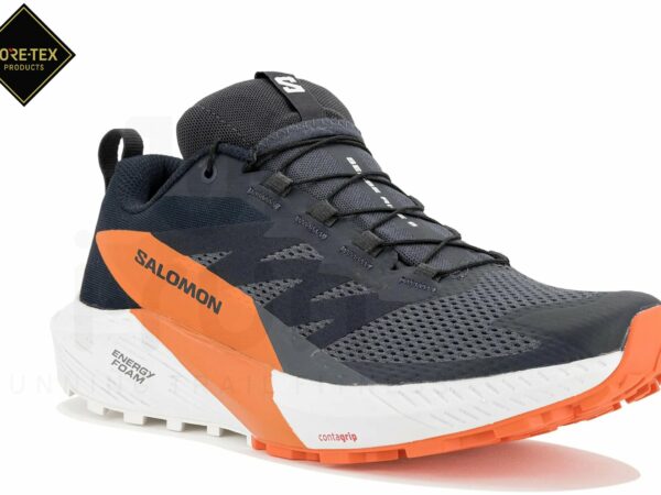 Salomon Sense Ride 5 Gore-Tex M Chaussures homme déstockage