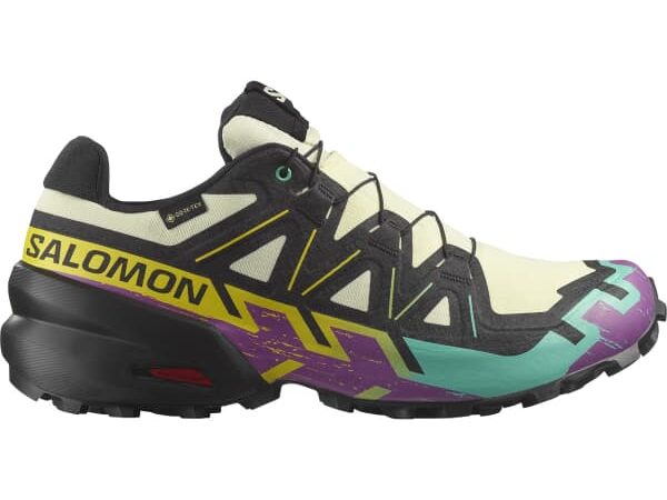 SALOMON SPEEDCROSS 6 GTX