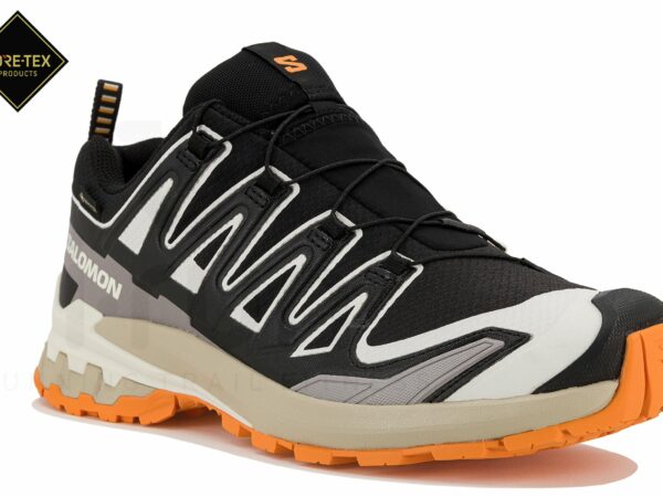 Salomon XA PRO 3D v9 Gore-Tex Chaussures homme déstockage
