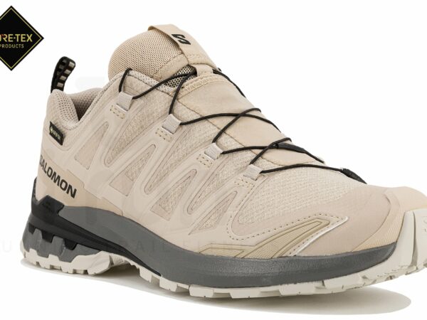 Salomon XA PRO 3D v9 Gore-Tex Chaussures homme déstockage