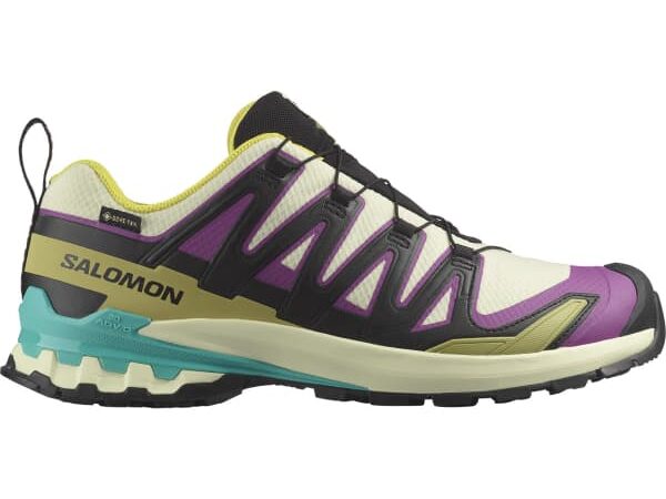 SALOMON XA PRO 3D V9 GTX