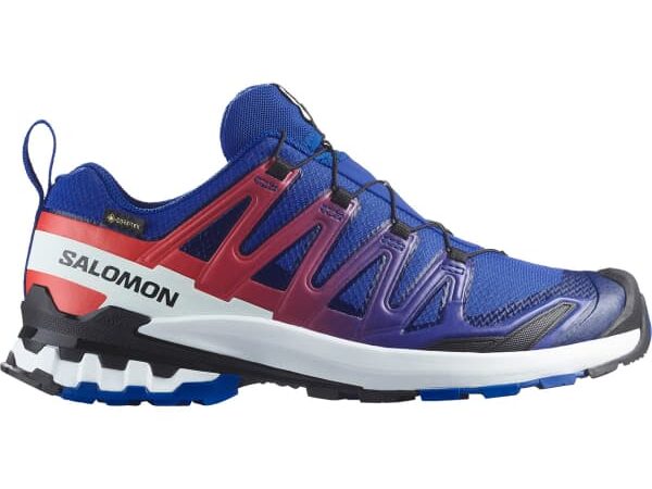SALOMON XA PRO 3D V9 GTX EQUIPE